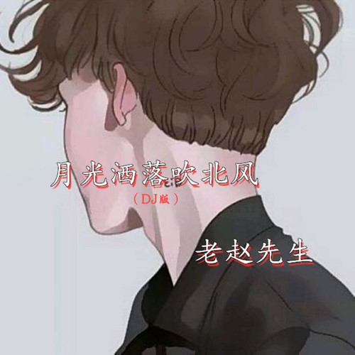 月光洒落吹北风 (DJ版)