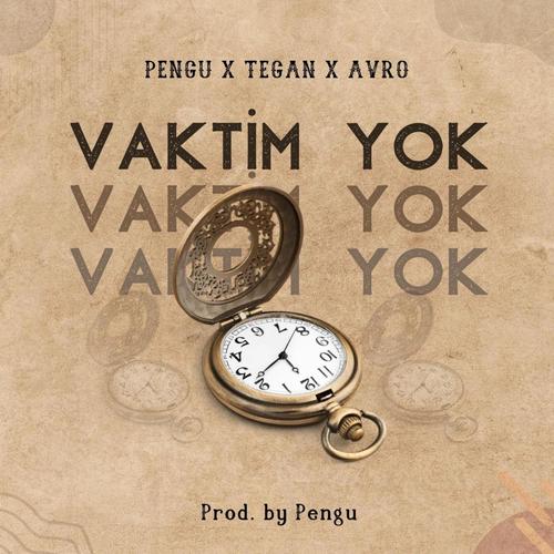 Vaktim Yok (feat. Avro.412 & Tegan)