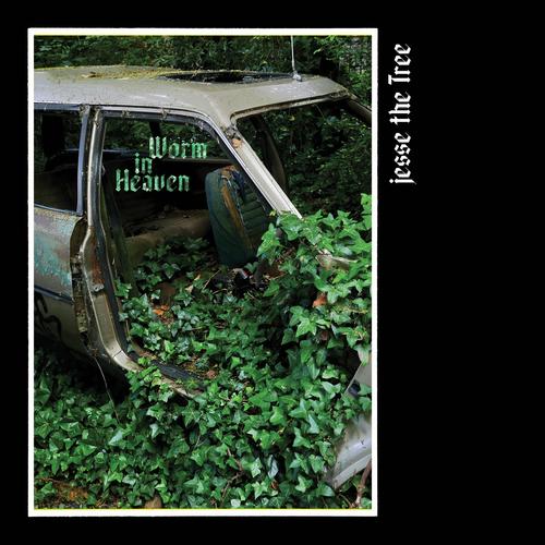 Worm In Heaven (Explicit)