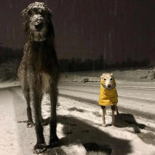 Different! (Explicit)