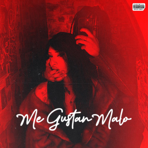 Me Gustan Malo (Explicit)