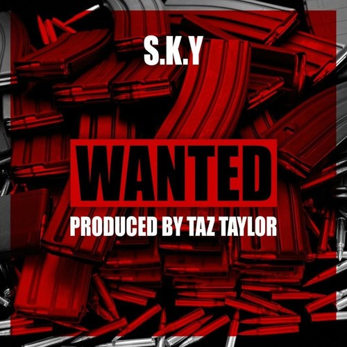 Wanted (Explicit)