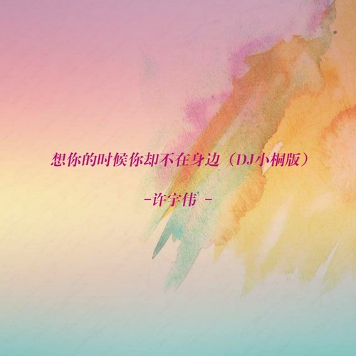 想你的时候你却不在身边（DJ小桐版）