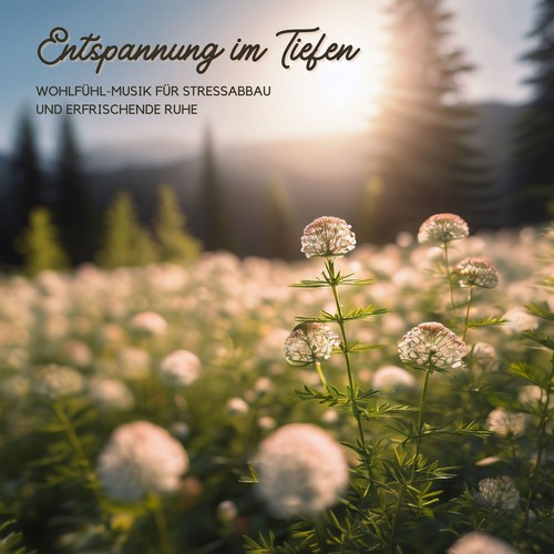 Entspannung im Tiefen: Wohlfühl-Musik für Stressabbau und Erfrischende Ruhe