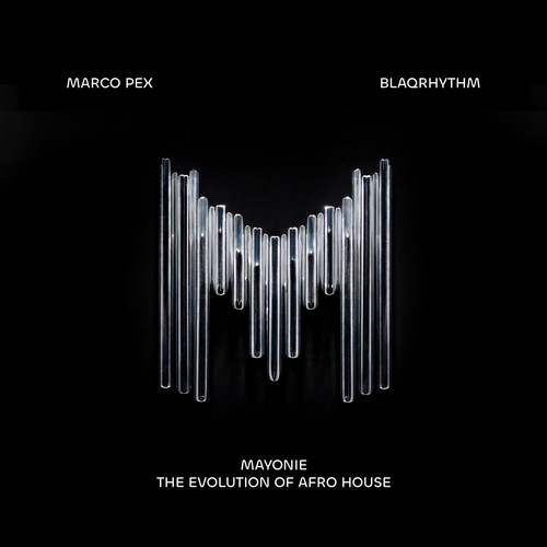 Evolution of Afro House