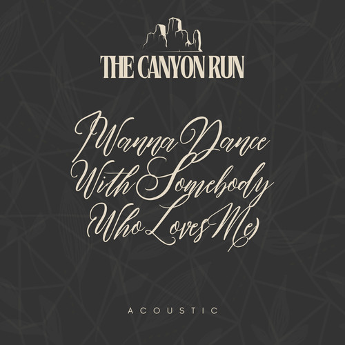 I Wanna Dance With Somebody (Who Loves Me) (Acoustic)