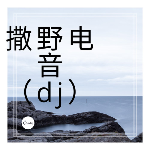 撒野电音（dj）