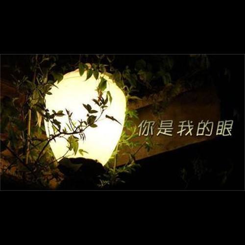 你是我的眼
