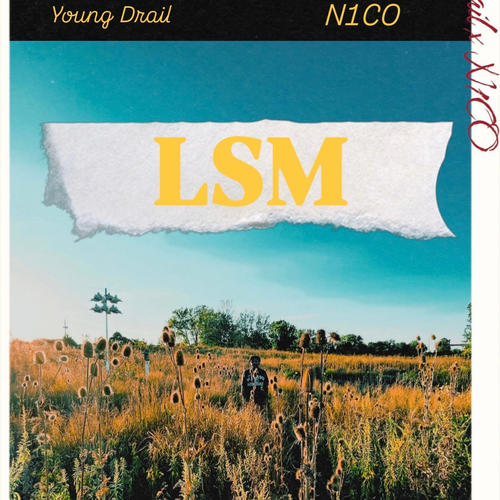 LSM (feat. N1CO) [Love.Sex.Money] [Explicit]