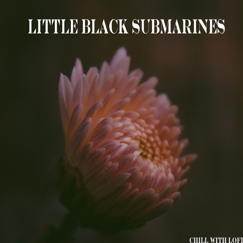 Little Black Submarines