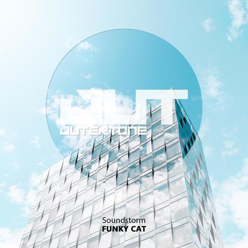 Funky Cat