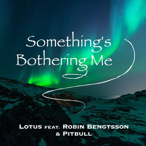 Something's Bothering Me (feat. Robin Bengtsson & Pitbull)