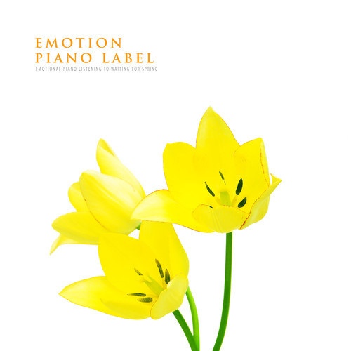 봄을 기다리며 듣는 감성 피아노 (Emotional Piano Listening To Waiting For Spring)