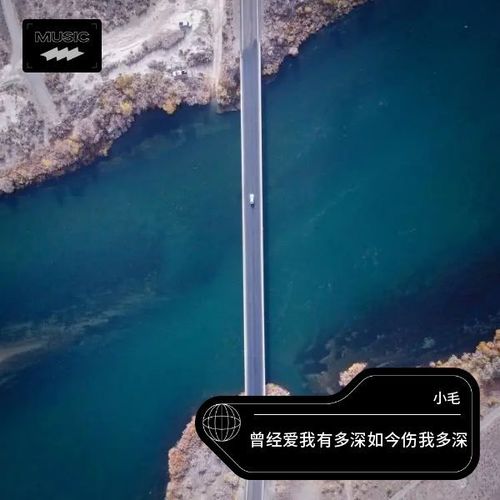 曾经爱我有多深如今伤我多深