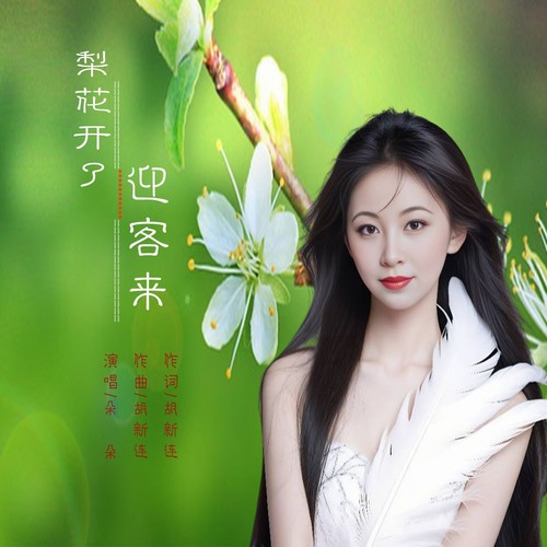 梨花开了迎客来