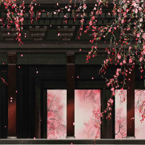 春心寒：浮生花事了