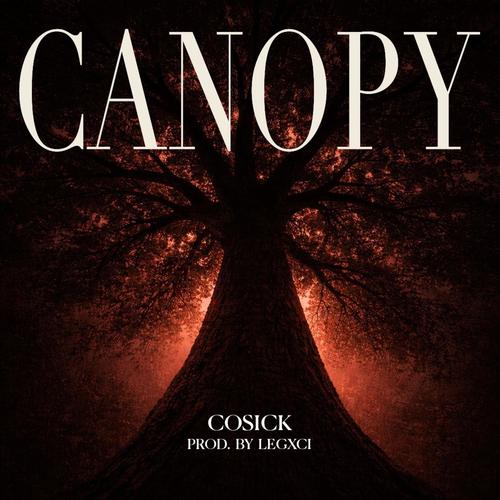 Canopy