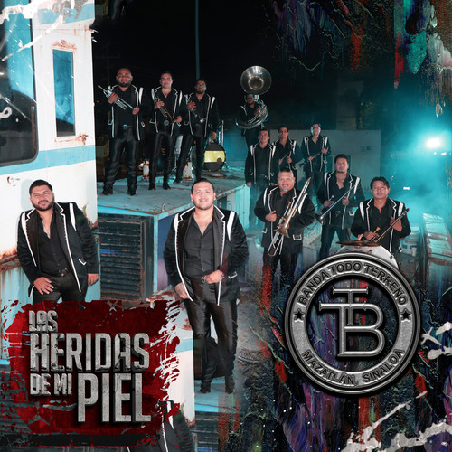Las Heridas De Mi Piel