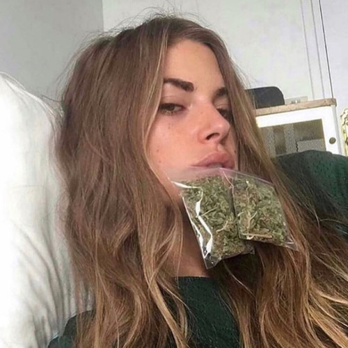 Trotzdem (Explicit)