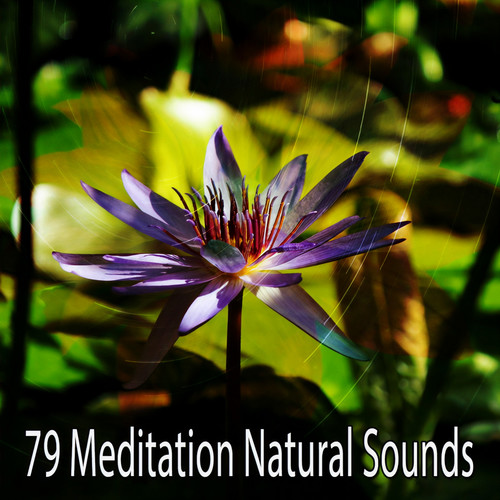 79 Meditation Natural Sounds