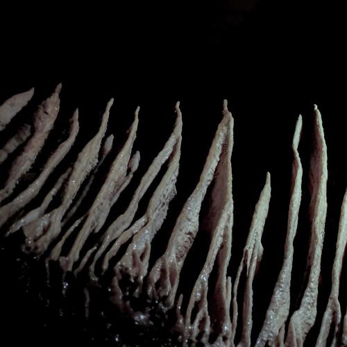 Music for the Funeral of Pope Francis