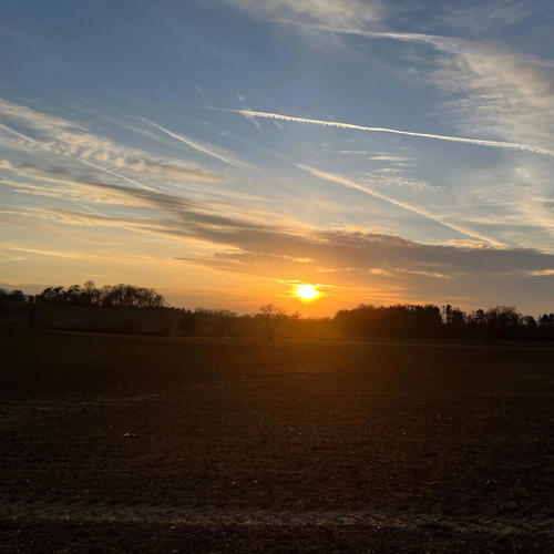 tryna reach the sky (Explicit)