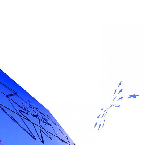 can't you see blue sky and birds?