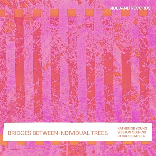 Bridges Between Individual Trees