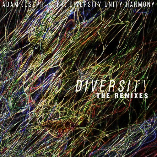 Diversity: The Remixes