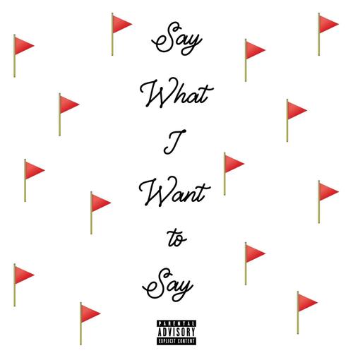 Say What I Want To Say (Explicit)