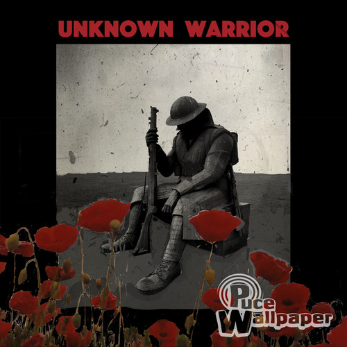 Unknown Warrior