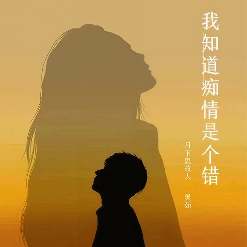 我知道痴情是个错