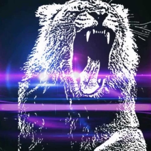 Martin Garrix - Animals (DJ Randy Remake)