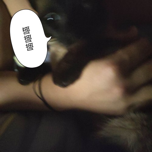 古声古色赶工版