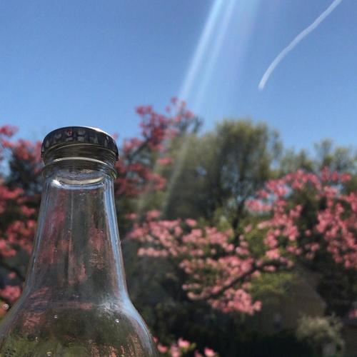 Cherry Blossom (Vision) (feat. JustTommy)