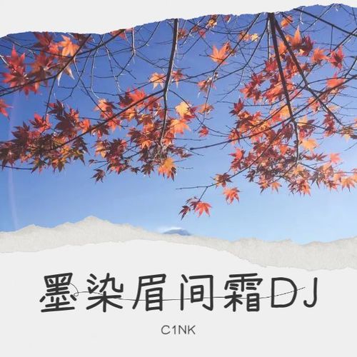 墨染眉间霜DJ