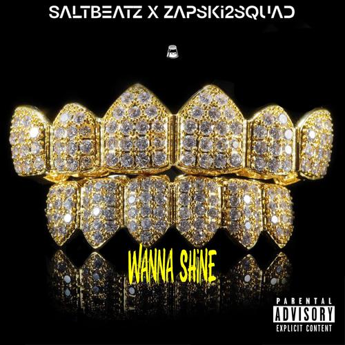 Wanna Shine (feat. Zapski2squad) [Explicit]