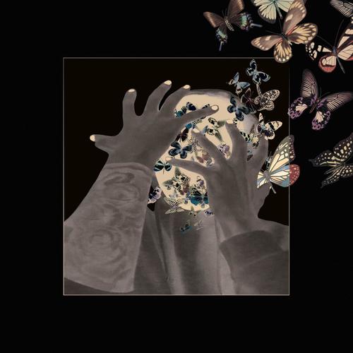 Butterfly (Explicit)