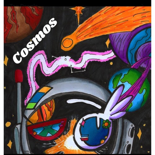 Cosmos