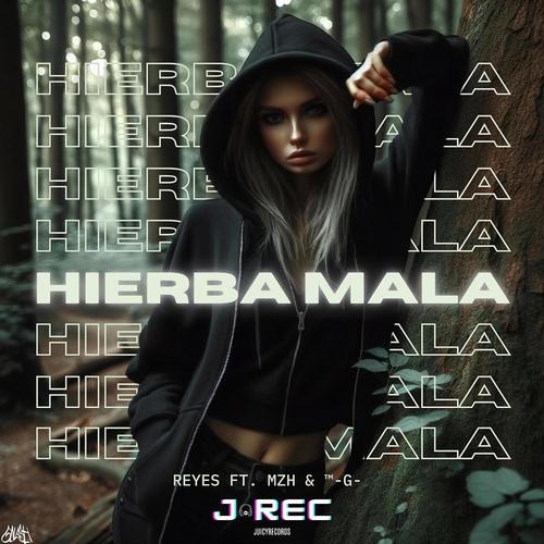 Hierba mala (feat. REYES XM, ™-G- & MZH) [Explicit]