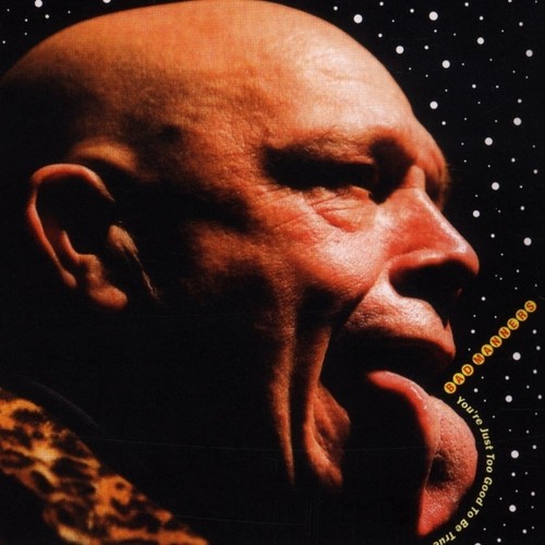 Youre Just Too Good To Be True