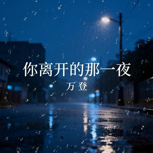 你离开的那一夜