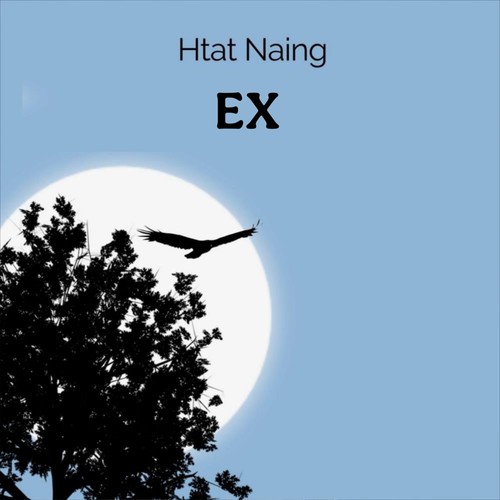 EX (Explicit)