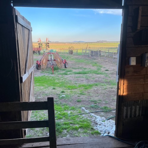 On the Farm