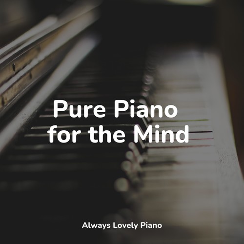 Calm and Completely Chill Music for Work and Studying