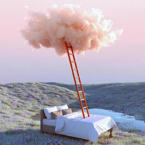 鸡蛋里并没有放葱