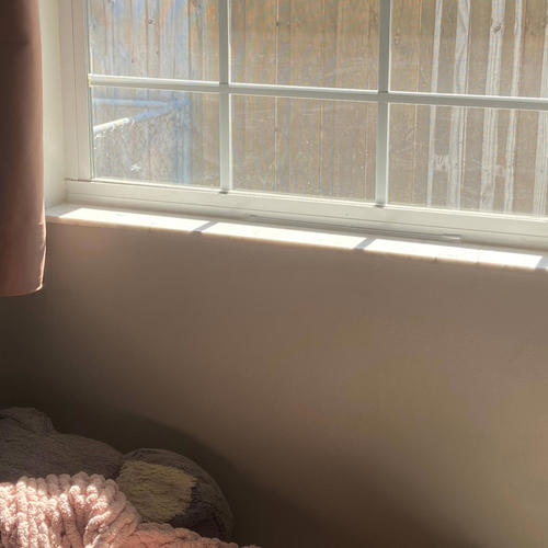 Witmybrotha (Explicit)