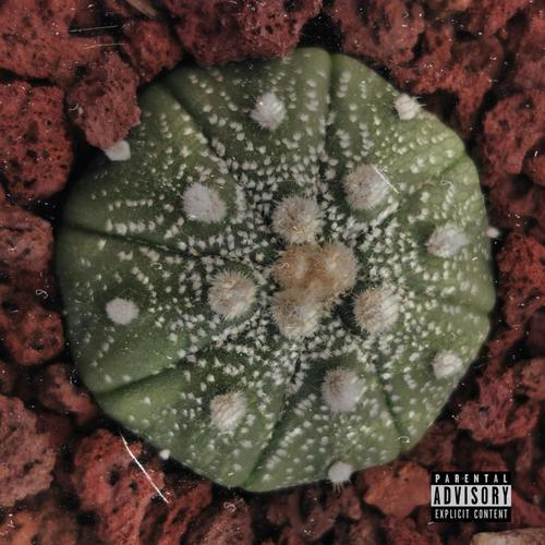 El Canto del Coyote (Explicit)