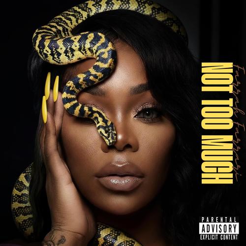 Not Too Much (feat. Farrah Ferrari) [Explicit]
