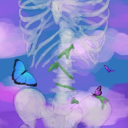 butterflies